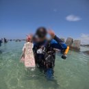 하러 다녀왔던 베어다이빙 bear diving 샵 후기(+체험다이빙,영어 진행,가격,kkday예약,샤워시설, 짐...
