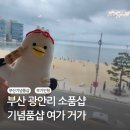 부산 광안리 소품샵 기념품 선물 추천 부기인형 파는곳 여가거가