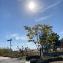 문점공원 이미지