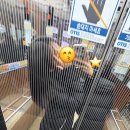 엽기아이스크림할인점 이미지