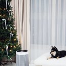 365플러스 대림대박 | 소형 공기청정기 반려가정 필수템 위닉스 타워엣지 공기청정기 추천