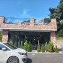 트리인(TREEIN) 이미지