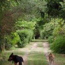 한인농장 이미지