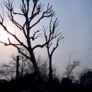 동서스크린골프 이미지