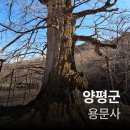 GS25 양평용문점 | 나의 양평군 여행(용문사/Cafe용문/신내장어구이)