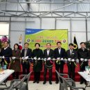 대산육묘장 이미지