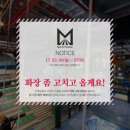 몬스터(monster sports)