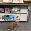스윗패턴즈