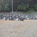 서영모터스 이미지