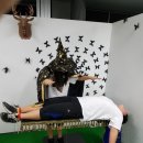 주문진초등학교삼덕분교장 이미지