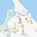 경포코지펜션애견동반