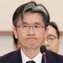 비장 이미지