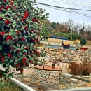 선학농장 이미지