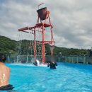 제피루스 온수풀 독채 펜션 이미지