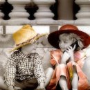 언제나너와 이미지