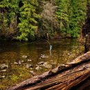 낚시천국 이미지