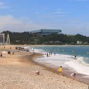 관성솔밭해변 이미지