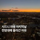 ST타워 | 시드니 타워아이 전망대 선셋부터 야경까지! + 입장권 할인 꿀팁