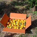 영현농장 이미지