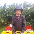 박정한농장 Daum카페