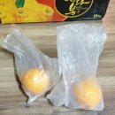 제주도선물 추천 서귀포 한라봉 후기 (허니제주님)