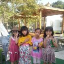 채원농원 이미지