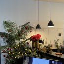 엑설라이프 | 3일간의 래드 재활운동 심화과정 - 교육 후기