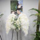 재화꽃집 이미지