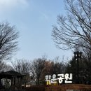 골드슈가링