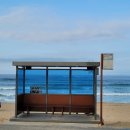 용강동서부시장 버스정류장 이미지