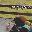강릉애견하우스 | 강릉 크림하우스 애견동반카페 논밭뷰 힐링
