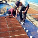 진봉농장 이미지