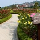 삼척 수제버거 오션테이블 이미지