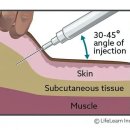 친구가 될 동물병원 이미지