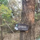 일산고봉고봉1 네이버블로그
