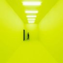 케이맘바 이미지