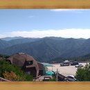 지리산인월송 이미지