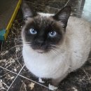 놀자네농원 이미지