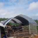 야당목장 이미지