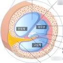 맑은성모청각센터