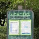 하나로마트사거리 이미지