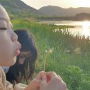 꿈꾸는언덕