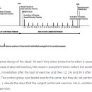 MUSCLE FLOW 이미지