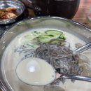 고씨네맛나손칼국수