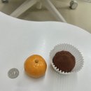 여의숲 | 너무 신기해서 쓰는 여의숲 두쫀쿠 후기