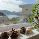 나로드림 이미지