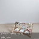 폴어린이집 | 어린이집 생일선물 원사이즈 아기양말 폴프랜즈 아동양말 추천