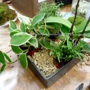 플로리스트 고급 이미지