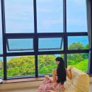 오션빌리지 104 | 부안 펜션 추천｜오션빌리지104 후기 전객실 오션뷰 &amp; 야외수영장까지 완벽한 풀빌라