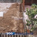 삼숭초등학교 이미지